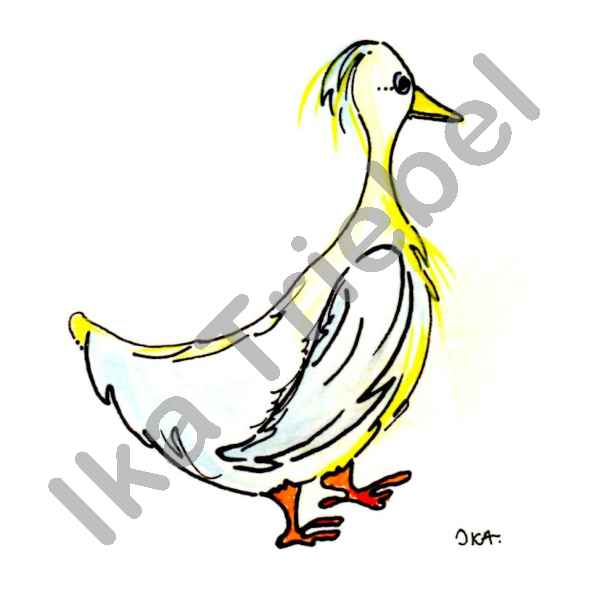 Gans