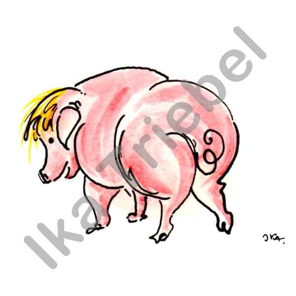Schwein