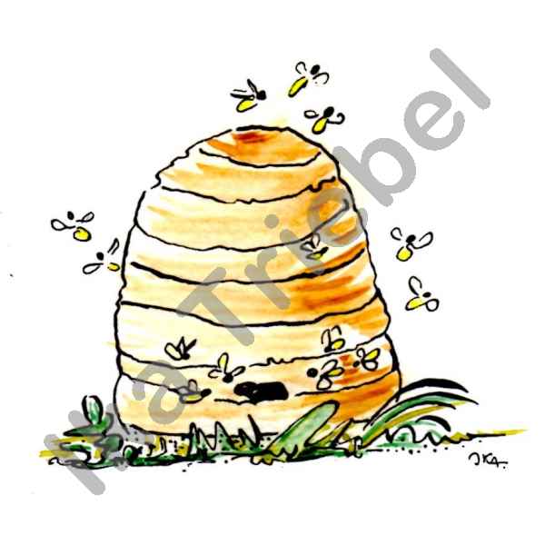 Bienenkorb